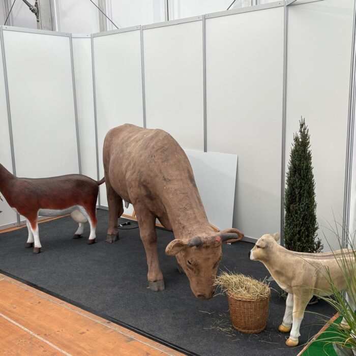 Impression aus der Oberschwabenschau Messe 2025 Ravensburg